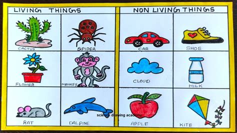 living things and non living things drawing|Nature Walk DIY .
